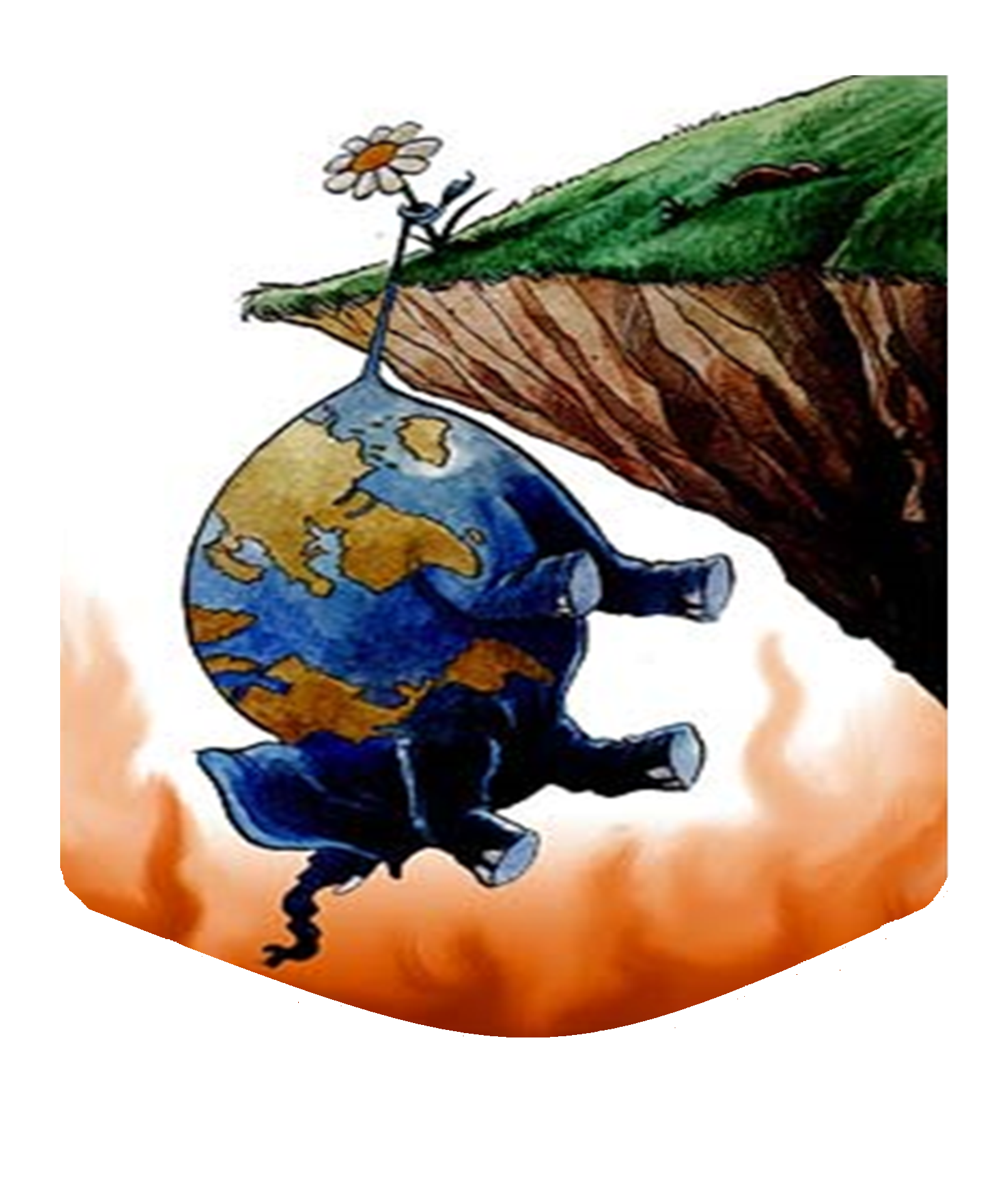 Déforestation et Extinction de la Faune                                   